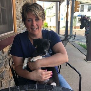 Meet your Posher, Catherine